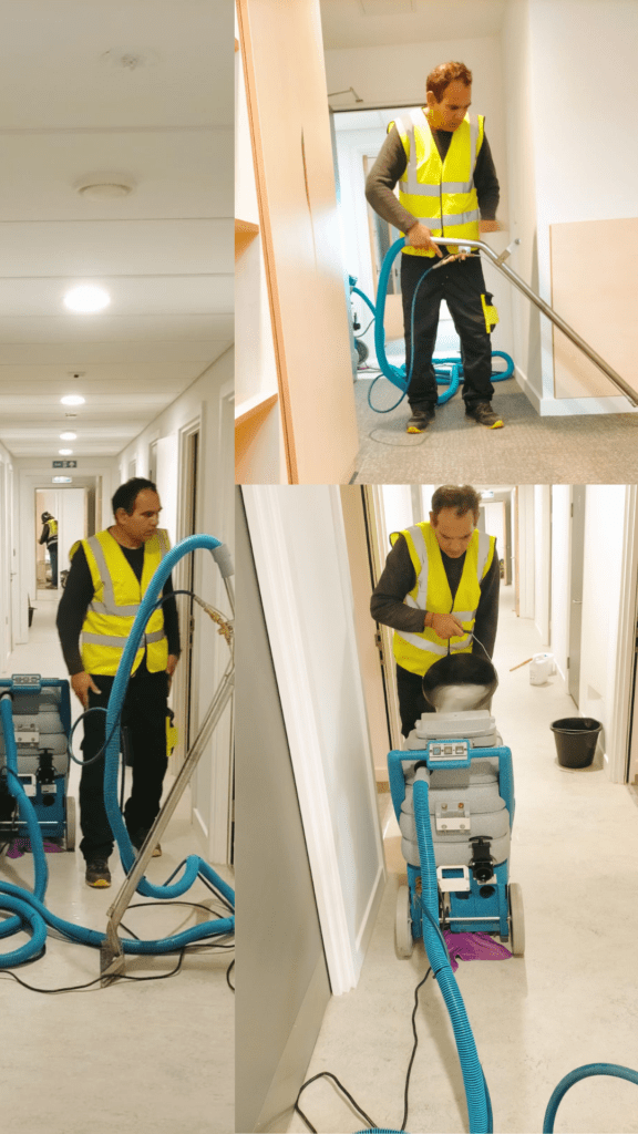 carpet deep cleaning